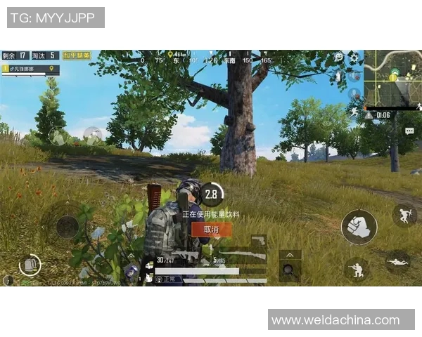 赵军独家分享和平精英游戏心得与技巧助你快速提升战斗力